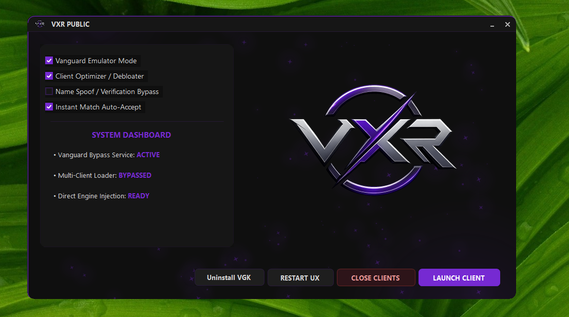 VXR Public loader interface